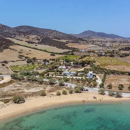 Hotel Palm Heaven Boutique *