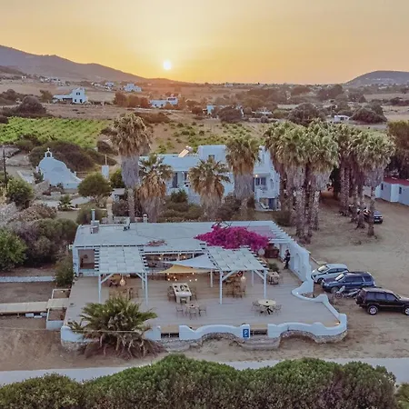 Palm Heaven Boutique