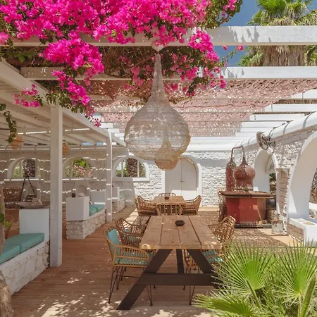 Palm Heaven Boutique