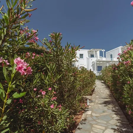 Palm Heaven Boutique Antiparos Città